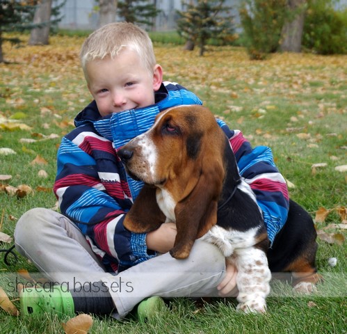 Boy with Basset Hound Puppy