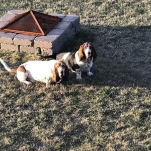 Ace and Annie in Calgary, AB
