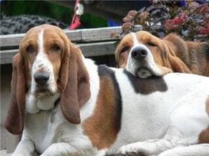 Bosco and Hailey in Trail, BC