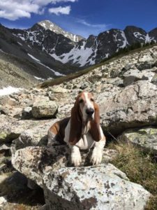 Elton in Denver, Colorado