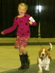 junior handling basset hound