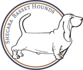Shecara Bassets logo